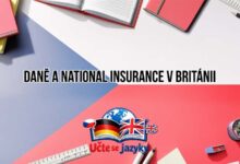 Dane A National Insurance V Britanii