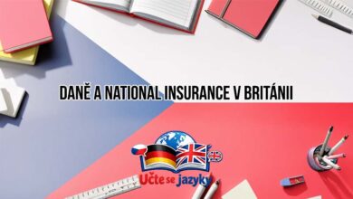 Dane A National Insurance V Britanii