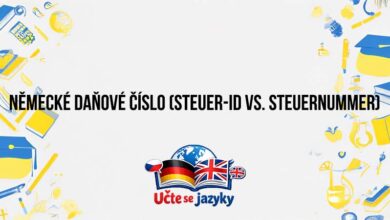 Nemecke Danove Cislo Steuer Id Vs. Steuernummer