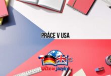 Prace V Usa