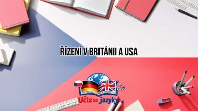 Rizeni V Britanii A Usa